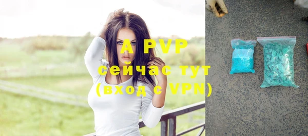 индика Алексеевка