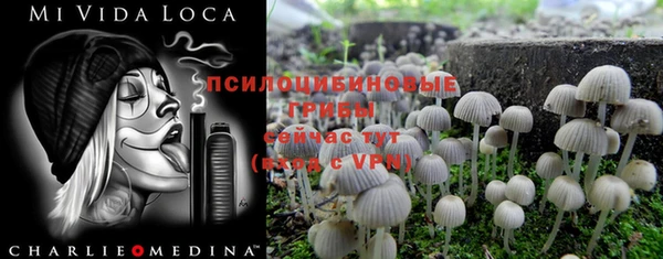 винт Алзамай
