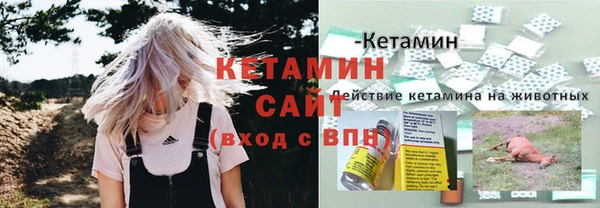 винт Алзамай