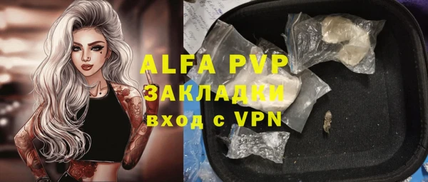 индика Алексеевка