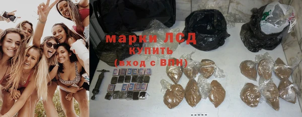 винт Алзамай